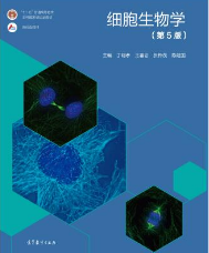 细胞生物学(第5版)丁明孝课后习题答案解析